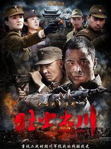 壮士出川全集在线观看,热血征程,英雄传奇 第1张 壮士出川全集在线观看,热血征程,英雄传奇 第1张