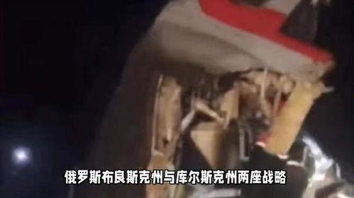 大鹅爆料间谍是真的吗视频,真相揭秘与视频分析  第1张